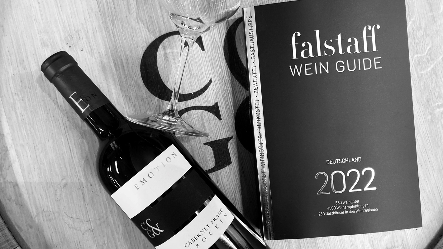 Falstaff, Vinum & Co. - Wer bewertet wie?